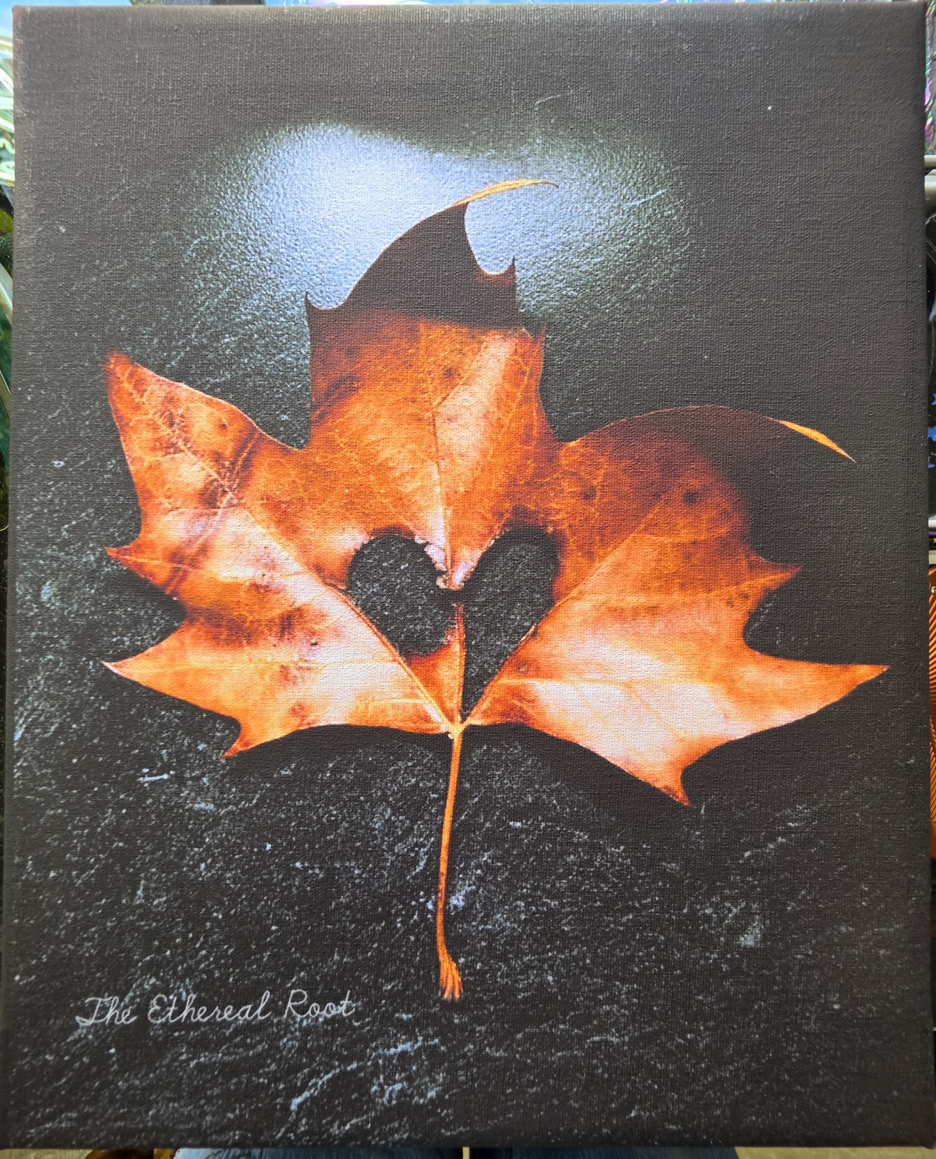 Autumn Heart Nature Photography by Abigail Tucker