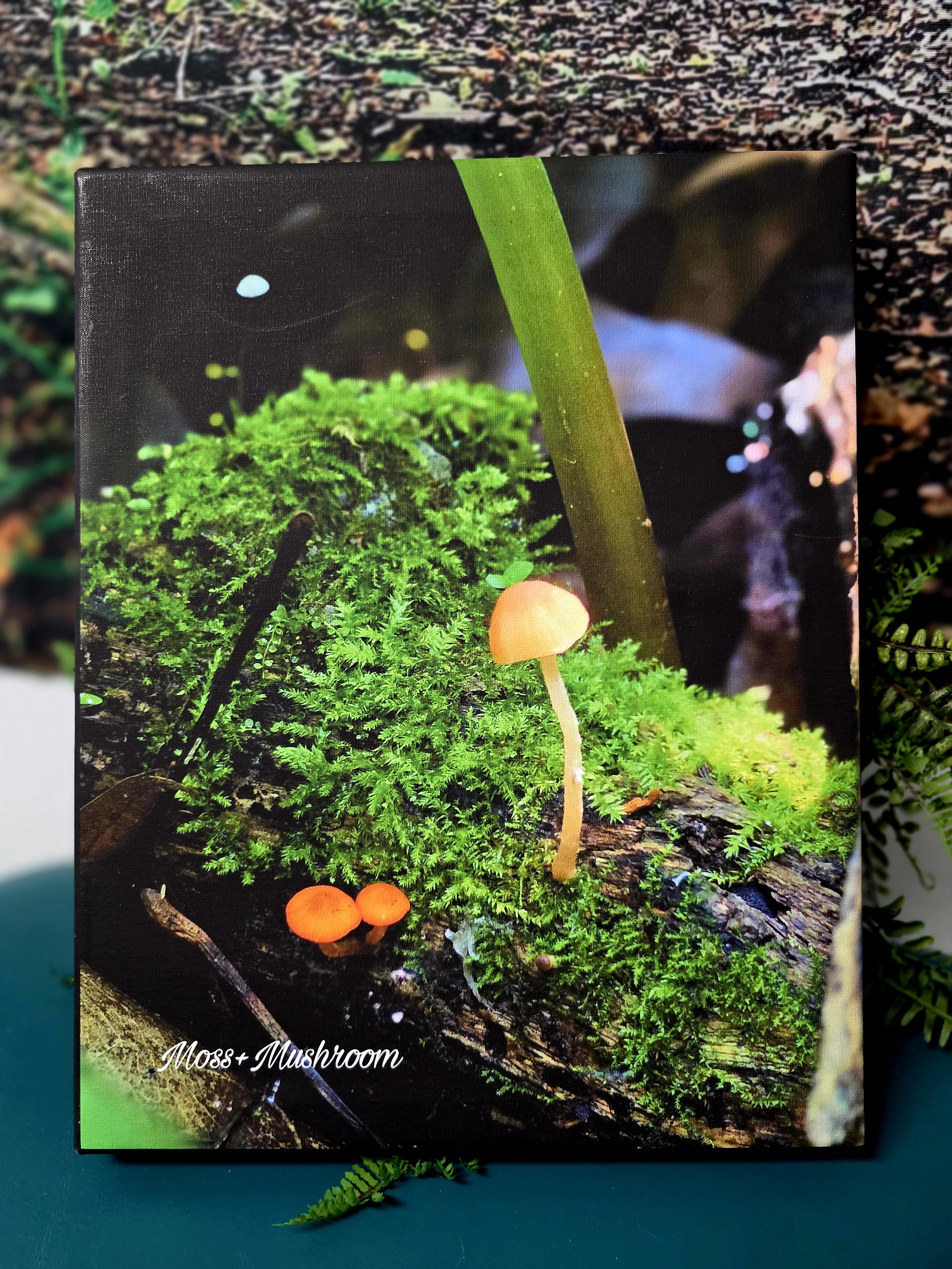 Moss and Mushroom Nature Photography Canvas Print by The Ethereal Root
