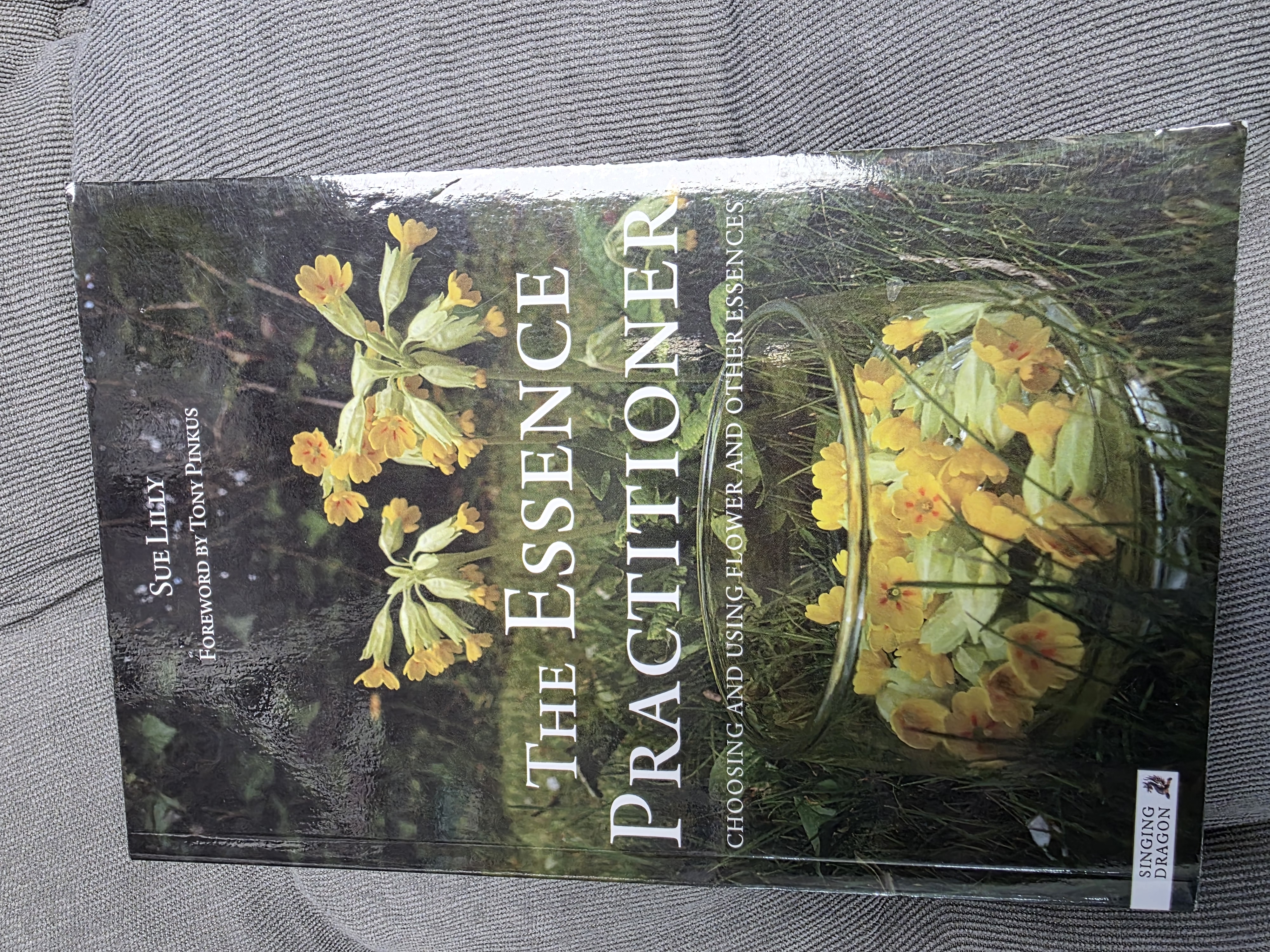 The Essence Practitioner Book