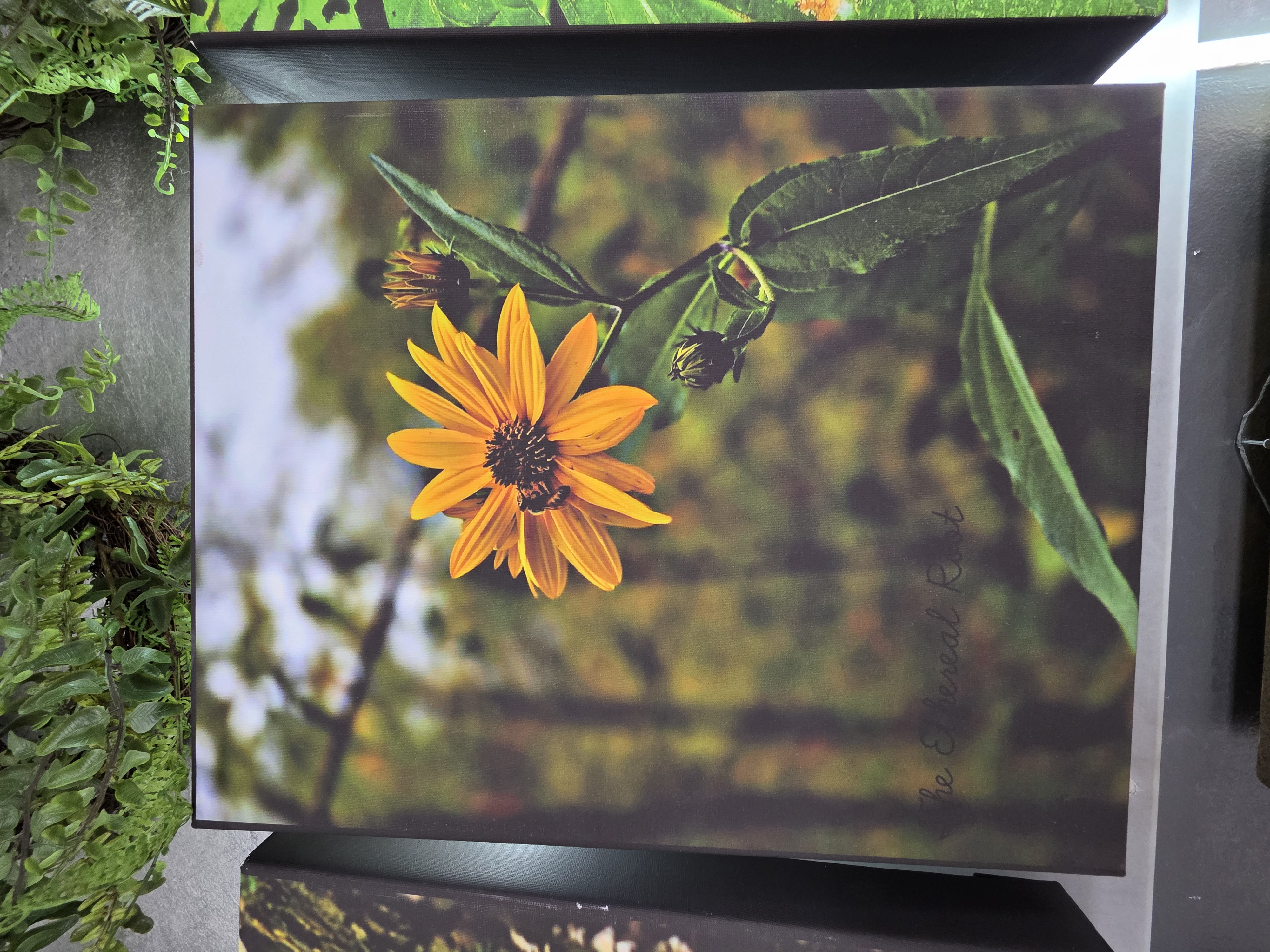 Autumn Honey, Nature's Snapshots Canvas Print