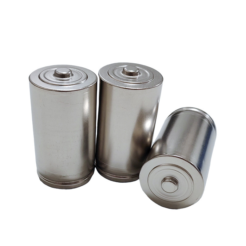 LR20 D 1.5V Alkaline Battery