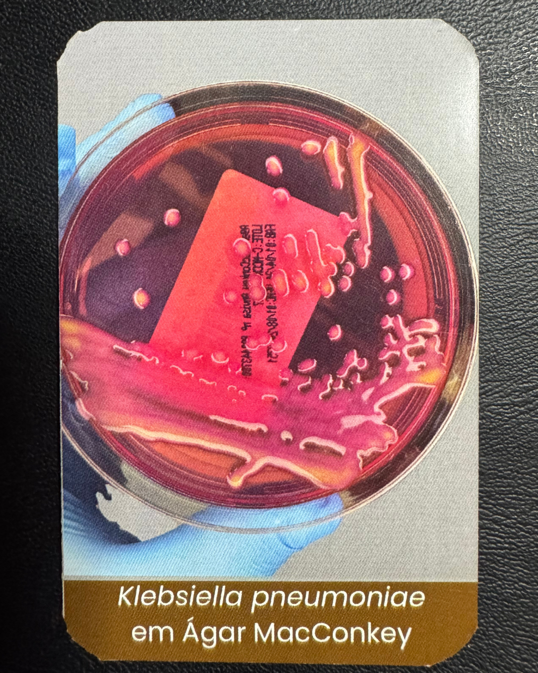 BARALHO DA MICROBIOLOGIA PRÉ-LANÇAMENTO!