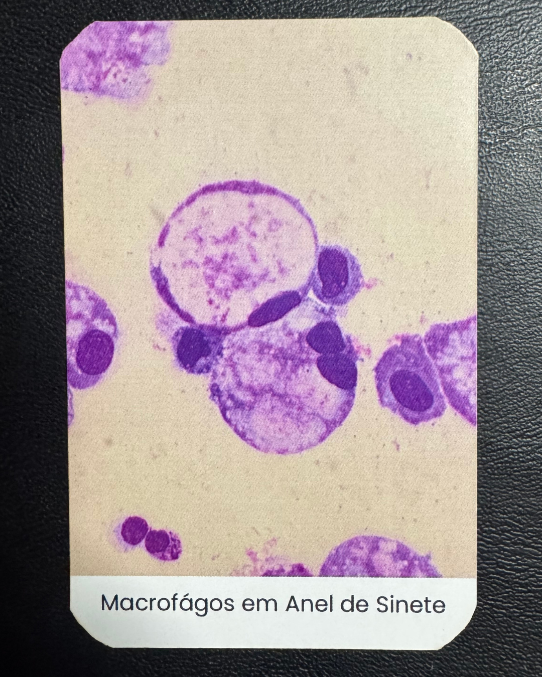 CYTOCARDS PRÉ-LANÇAMENTO!
