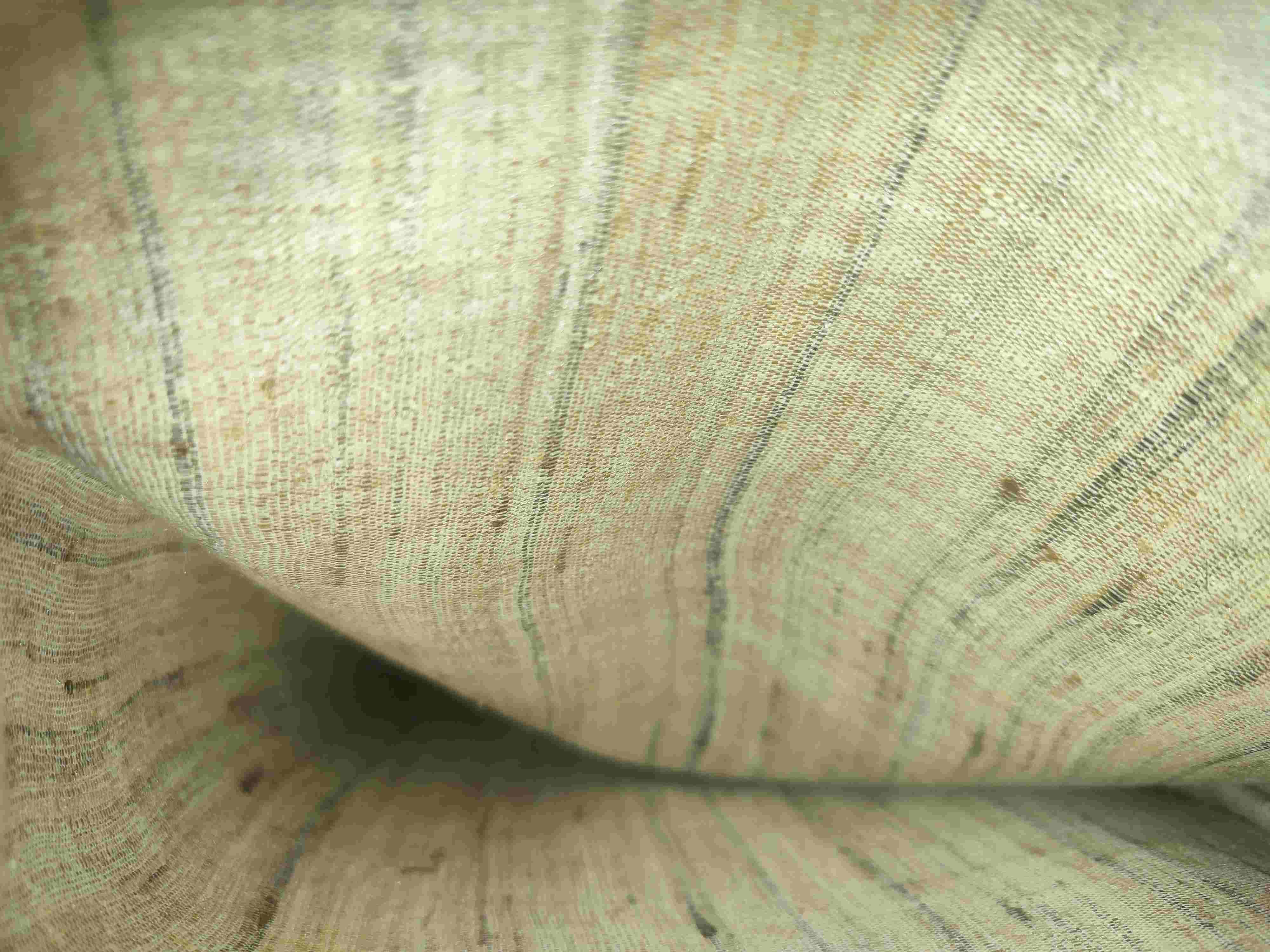 Ahimsa Hand Silk