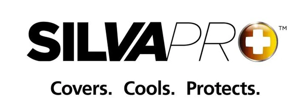 Absorbent Wound Dressing