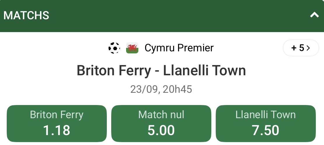 Pronostic Briton Ferry – Llanelli : Analyse, Statistiques et Conseils de Paris 