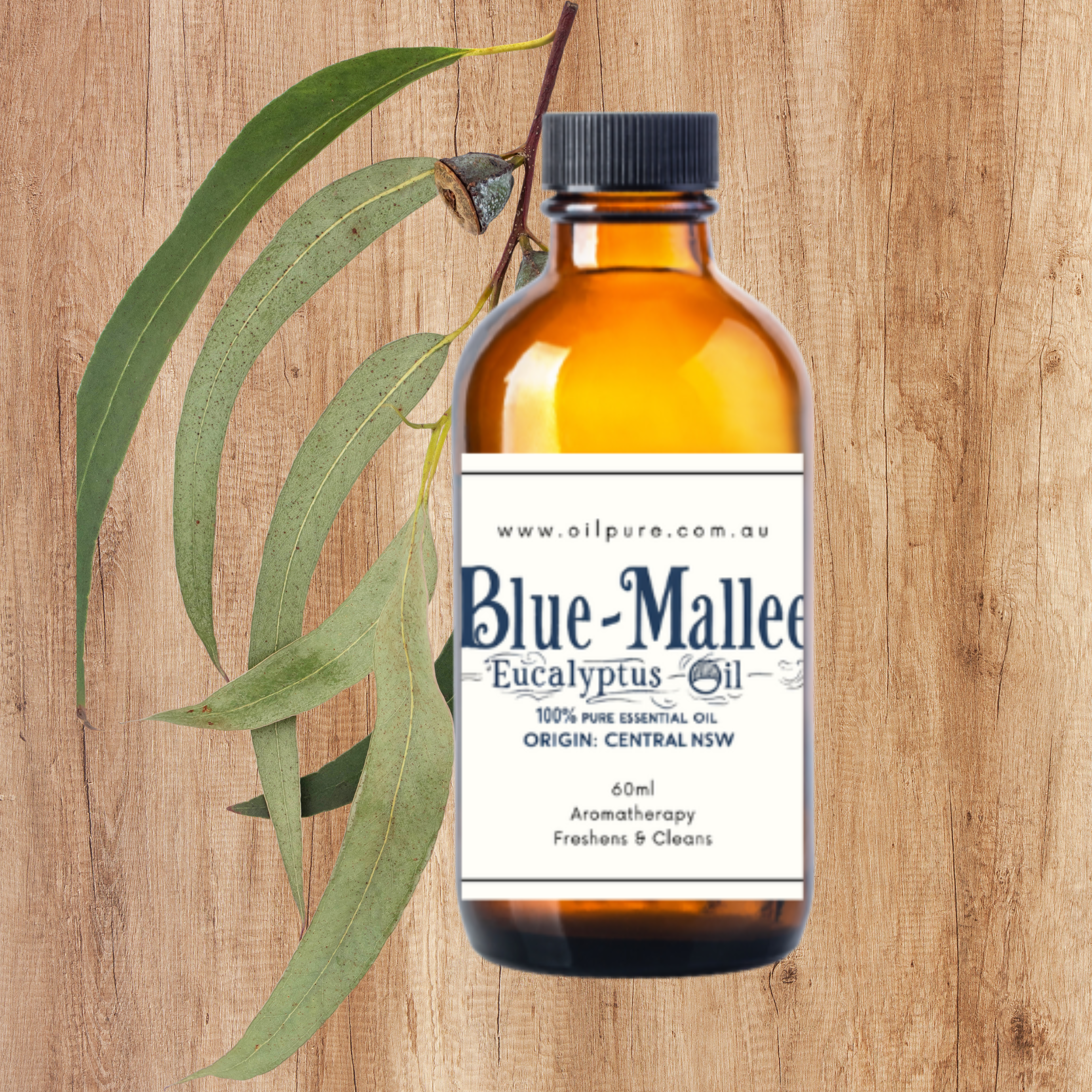 Pure Blue Mallee Eucalyptus Oil 60ml for for Respiratory Support & Aromatherapy