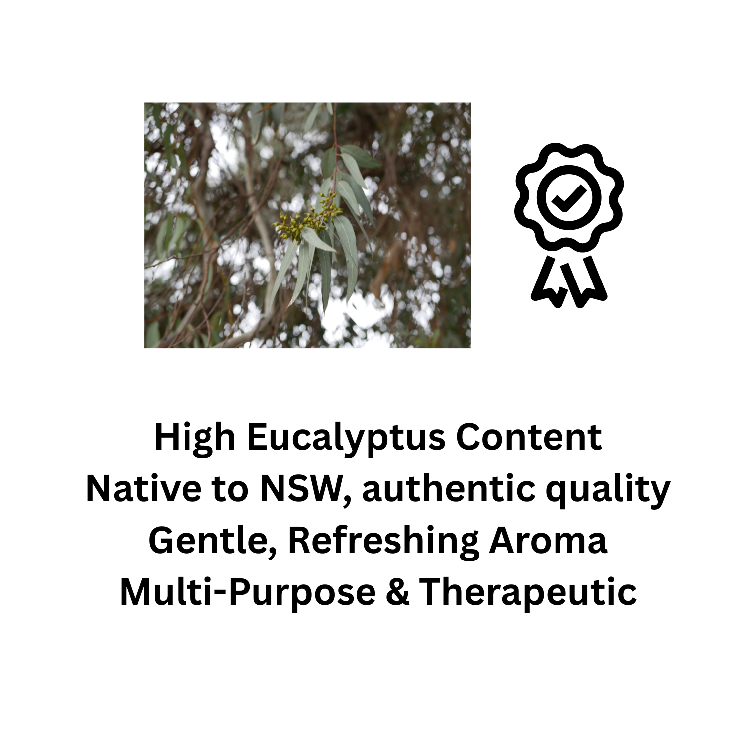 Pure Eucalyptus Oil 60ml – For Diffuser, Cleaning & Wellness - Natural Essential Oil from Country NSW
