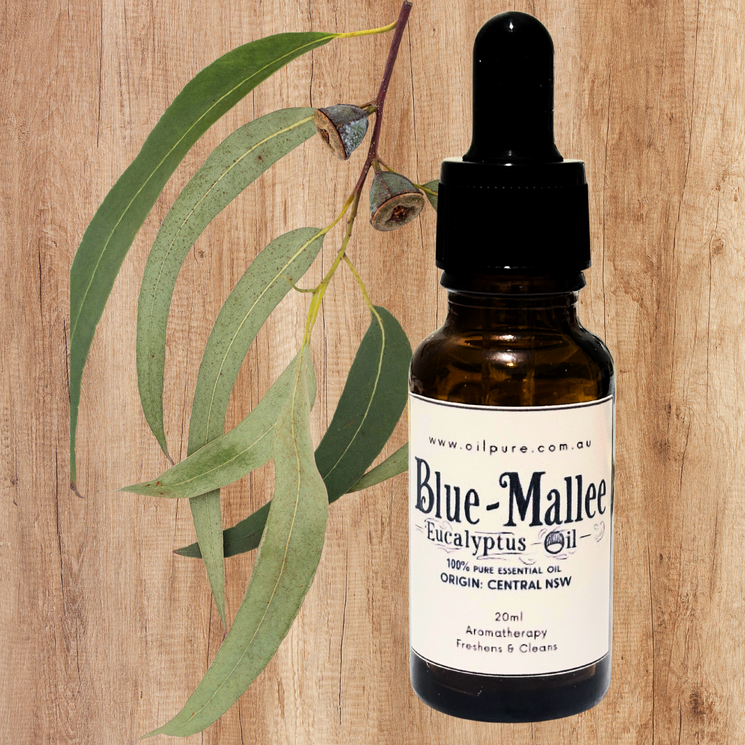 Pure Blue Mallee Eucalyptus Oil 20ml for Respiratory Support & Aromatherapy