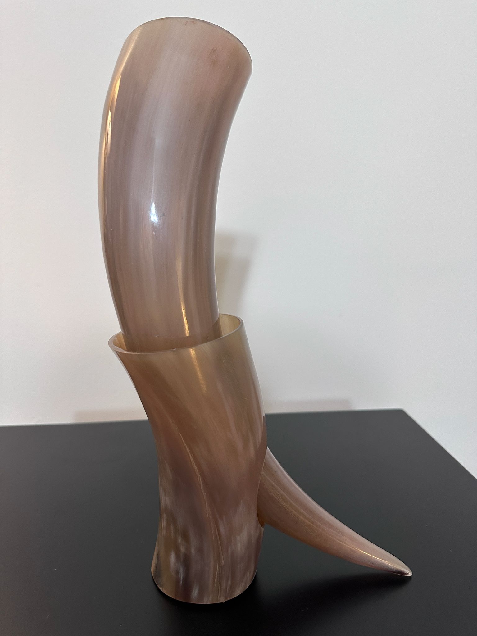 Traditional Horn Beer Mug