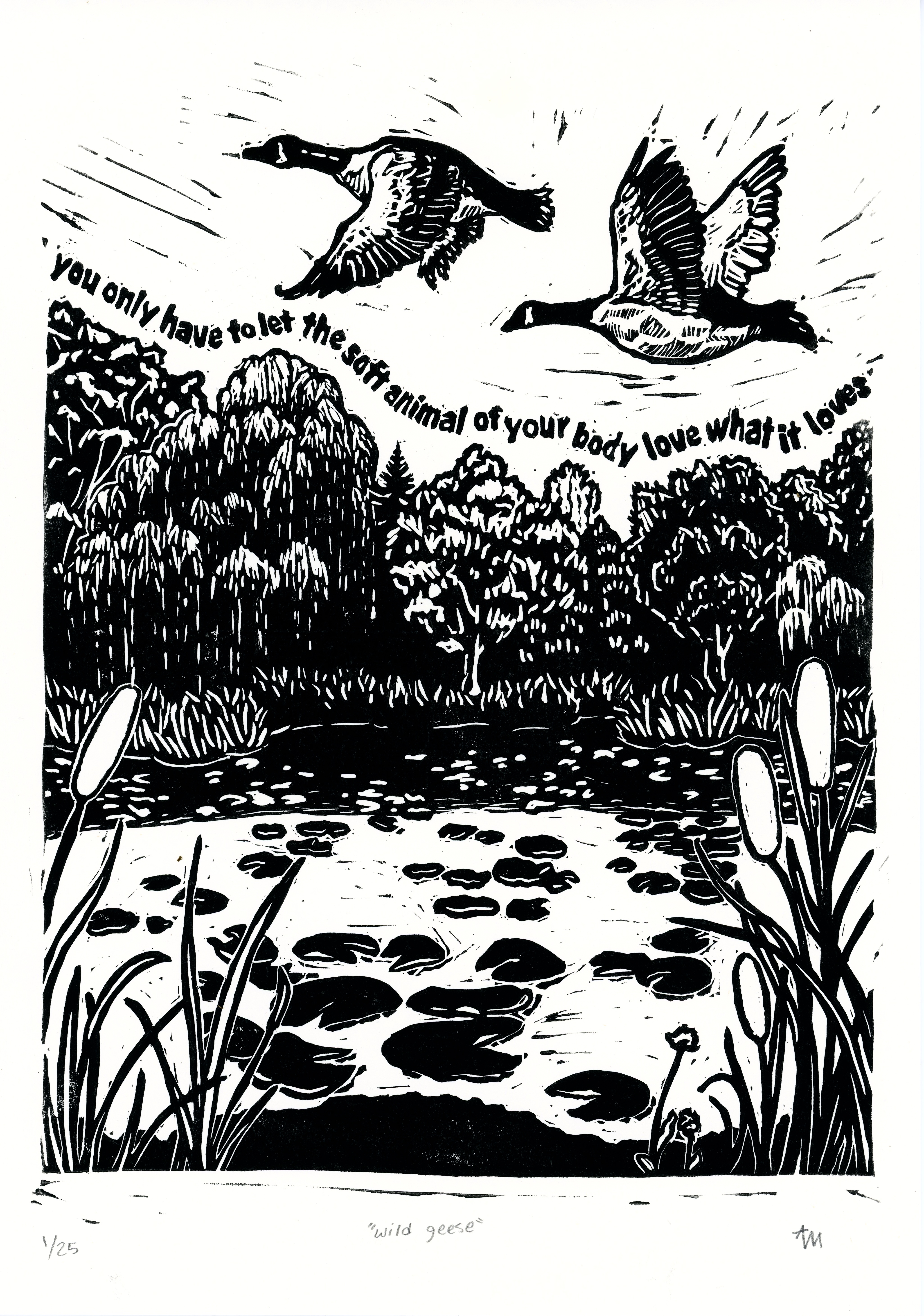 “wild geese” 