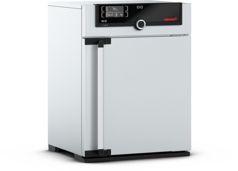 Incubator Memmert IN55