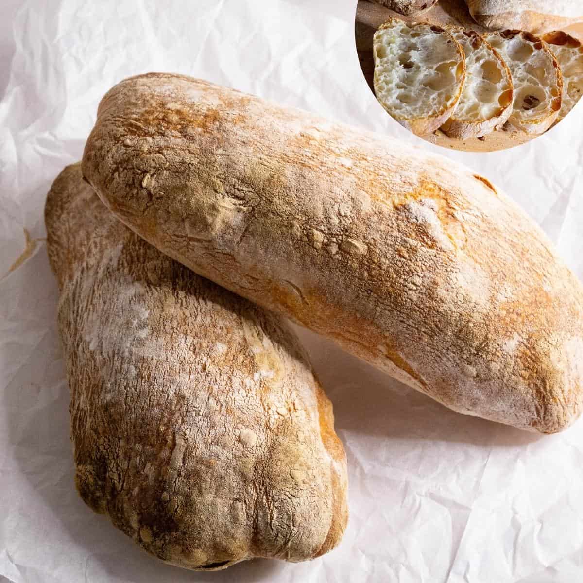 Ciabatta