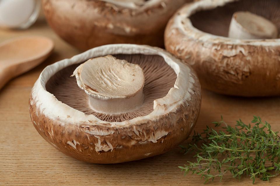Portobello Mushrooms