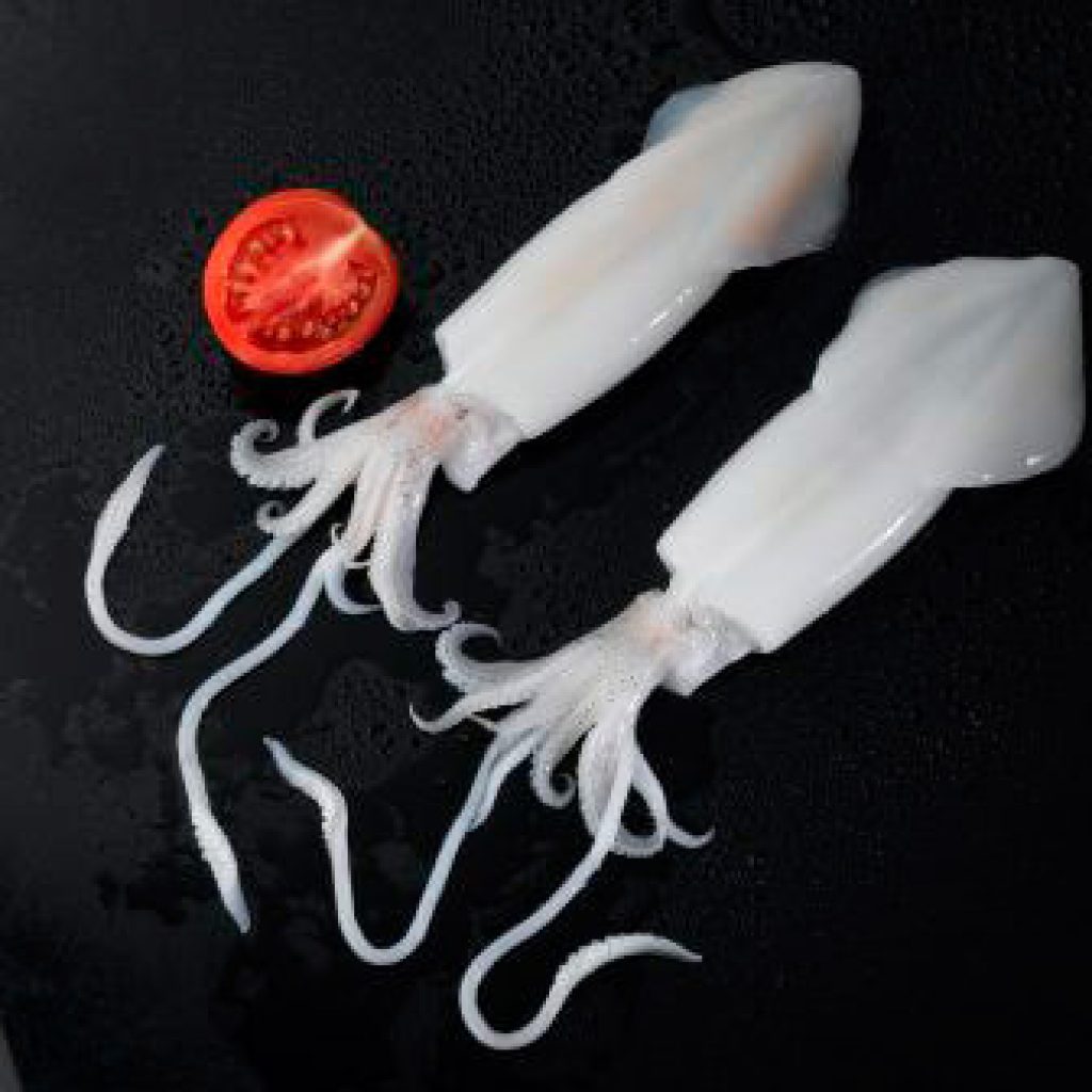 Whole Cleaned Squid