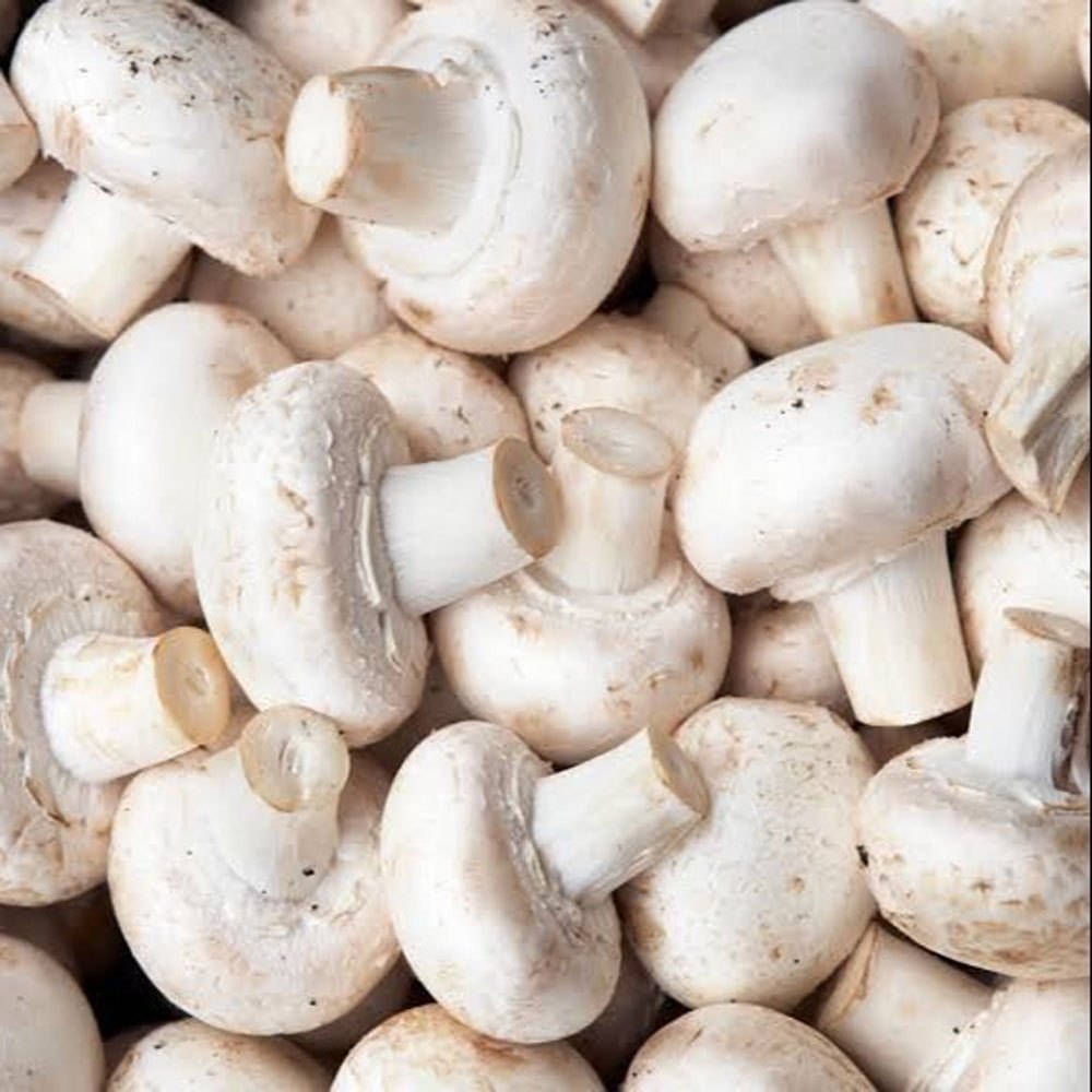 White Button Mushrooms
