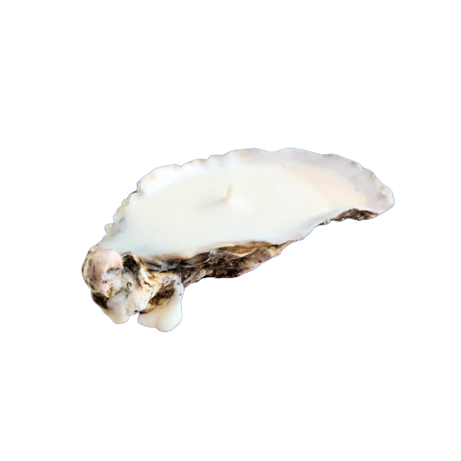 Candle in Oyster shell