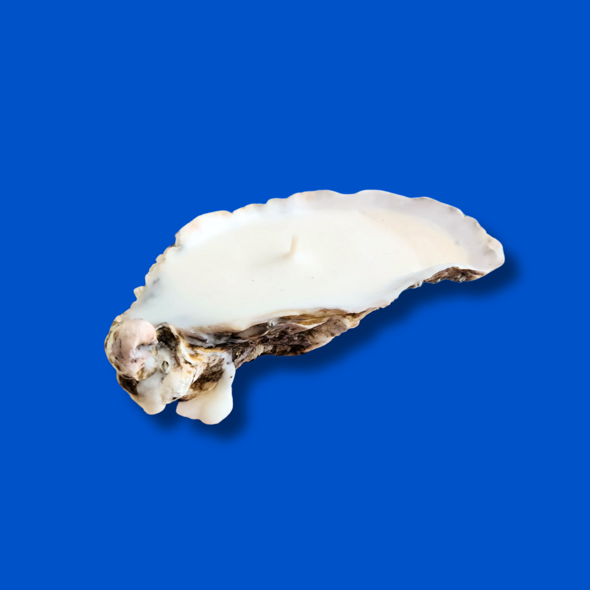 Candle in Oyster shell
