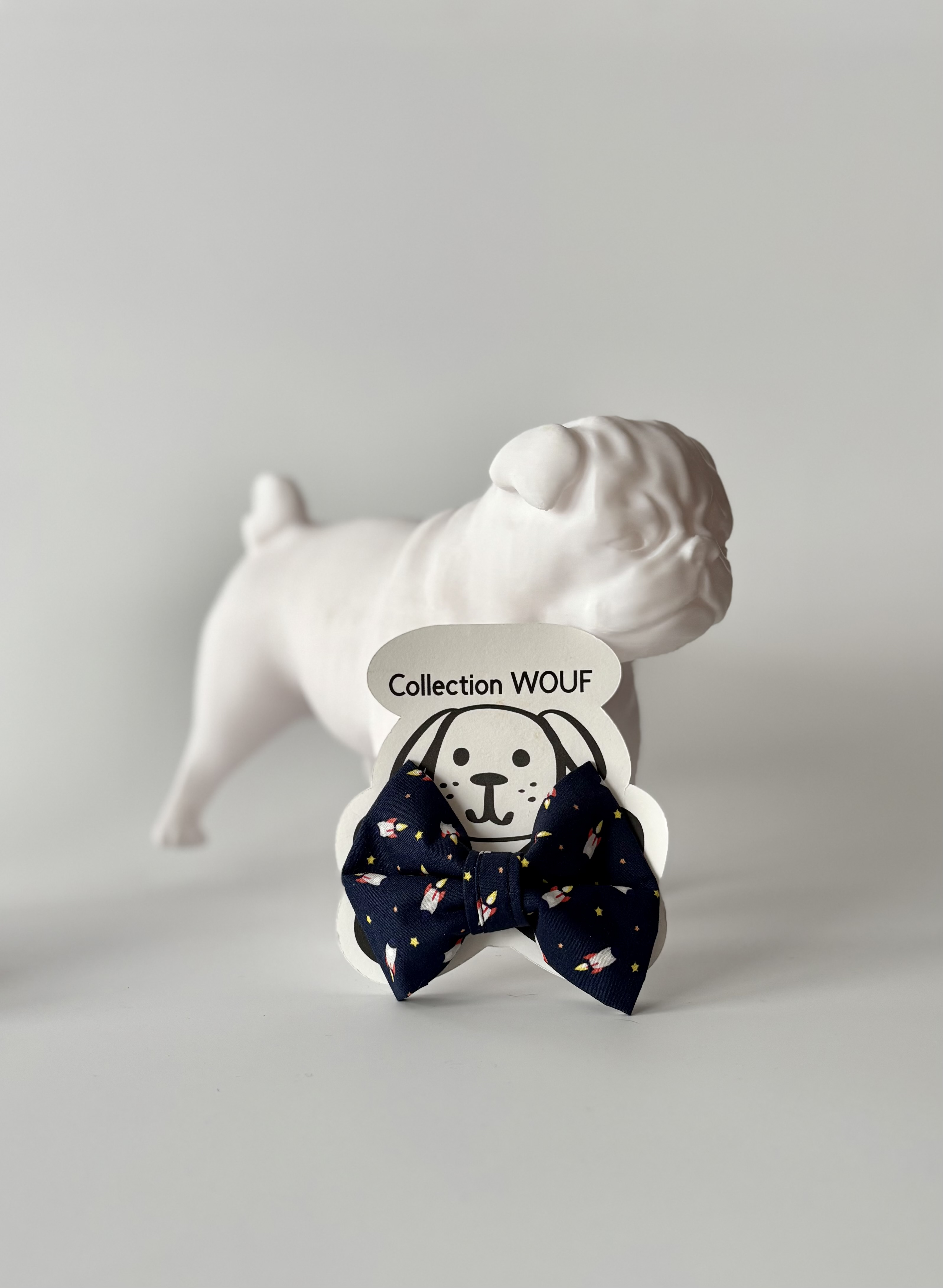 Noeud papillon- FUSEE