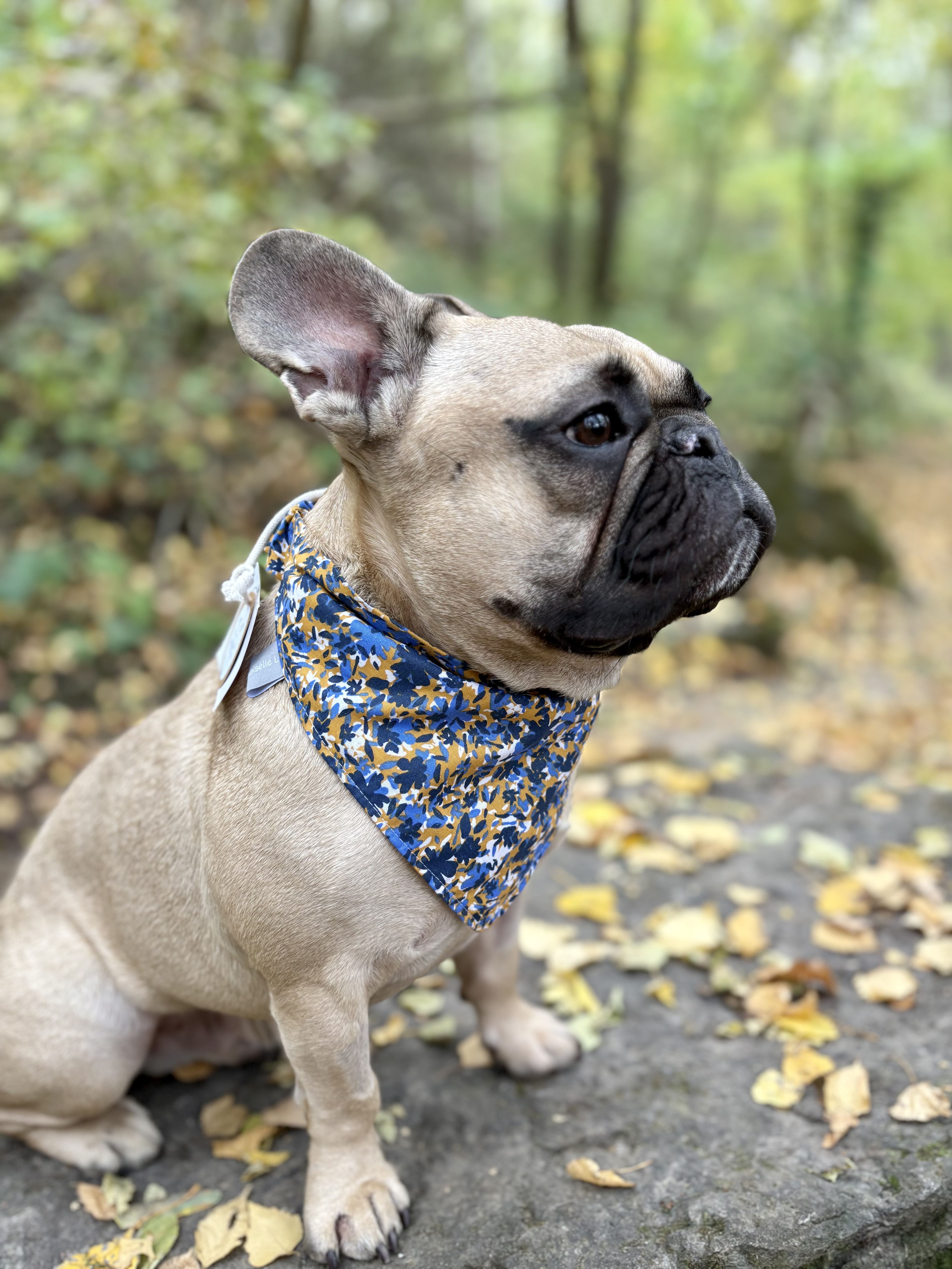 Bandana- BLEU/JAUNE +FLEURS