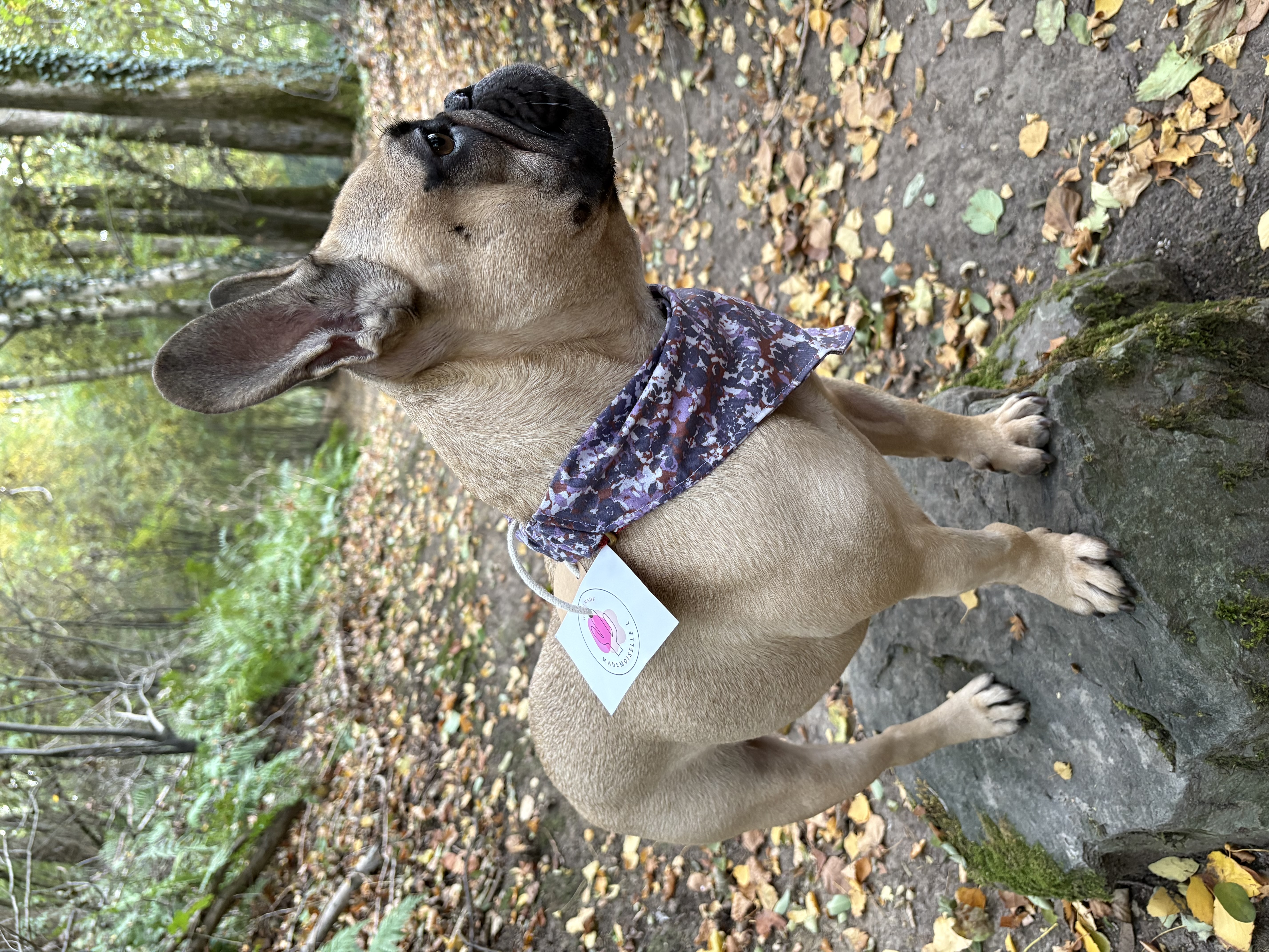 Bandana MILITAIRE MAUVE +FLEURS