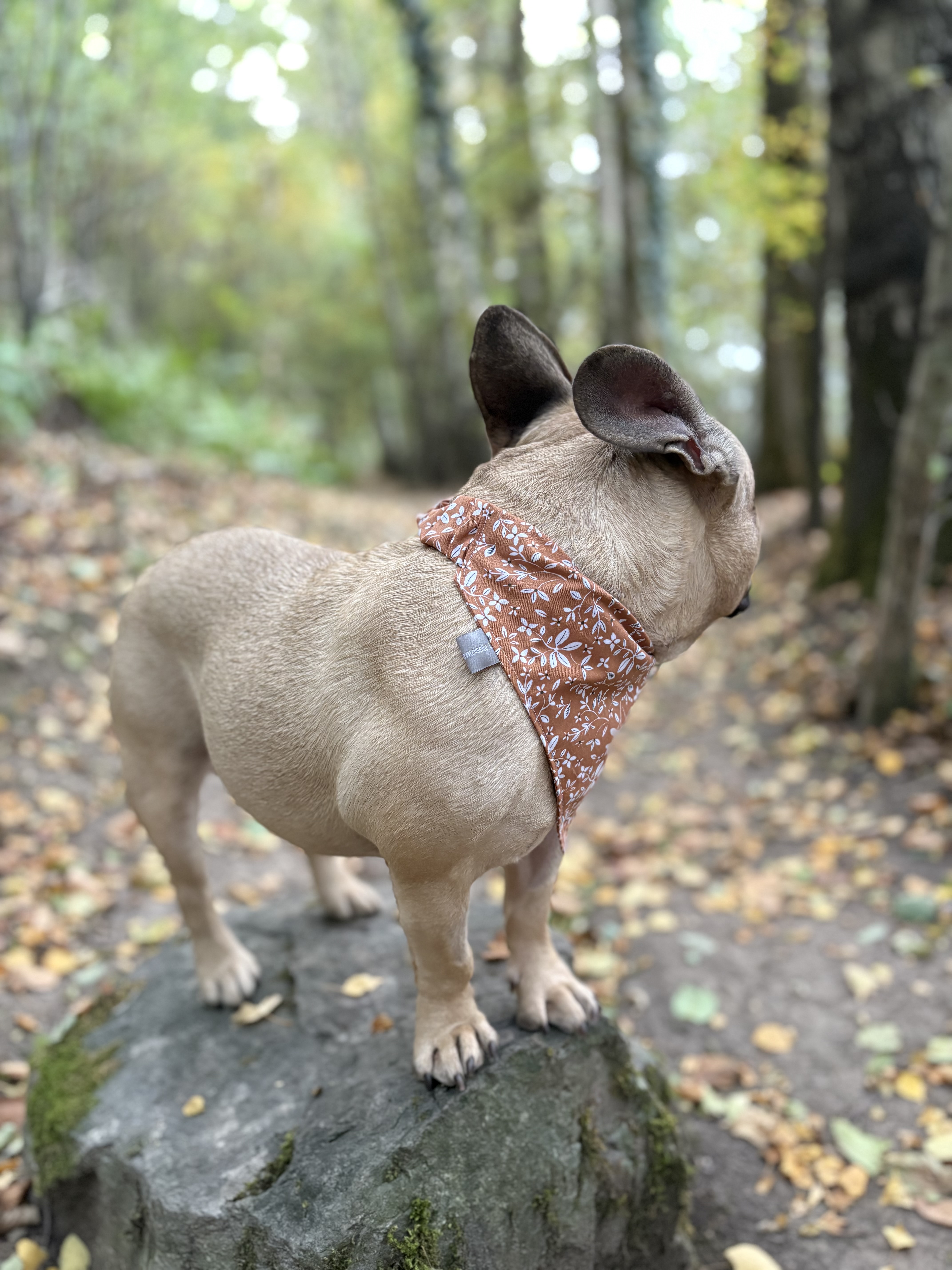 Bandana CAMEL FLEURS