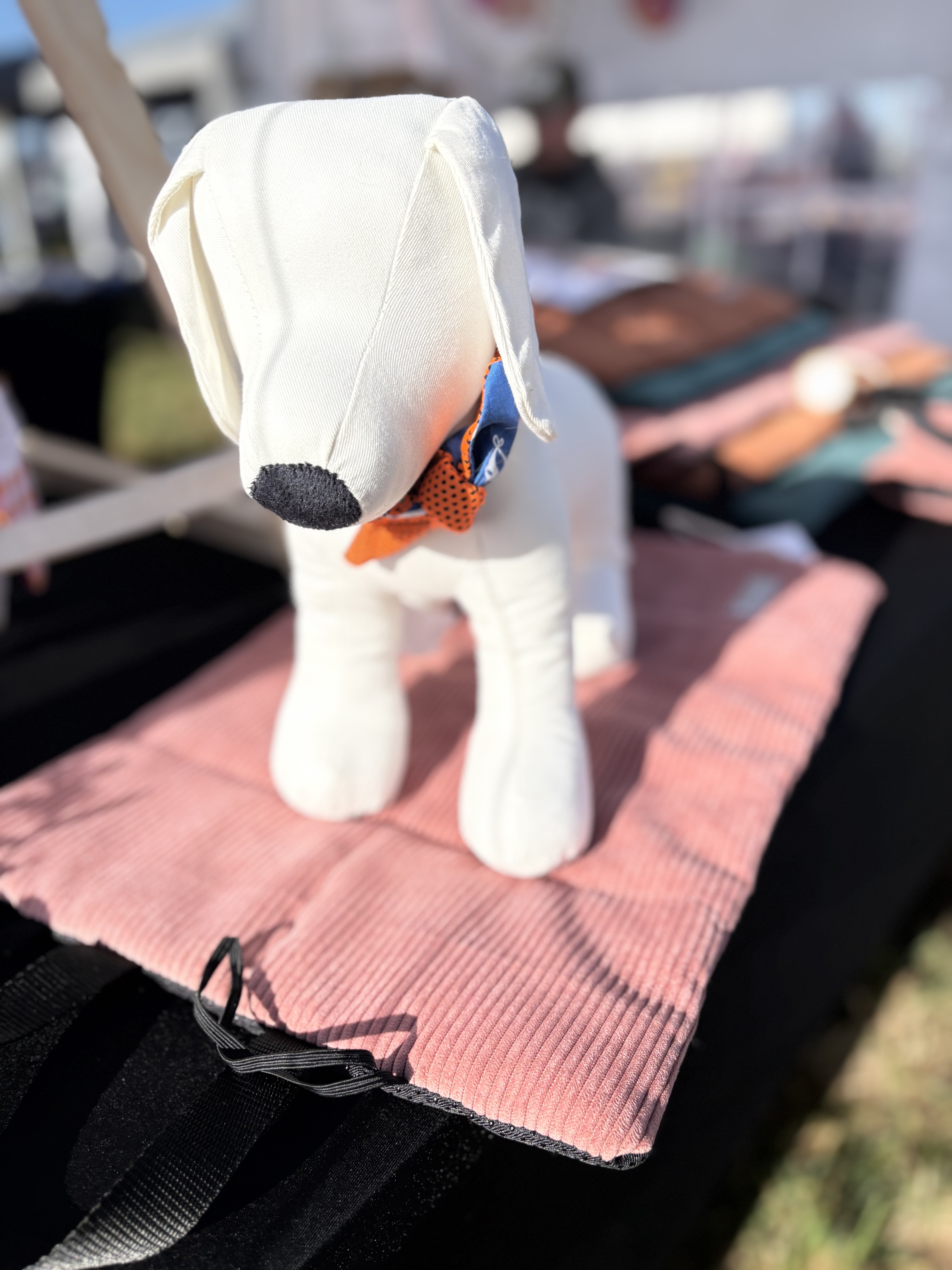 Tapis de transport/ voyage