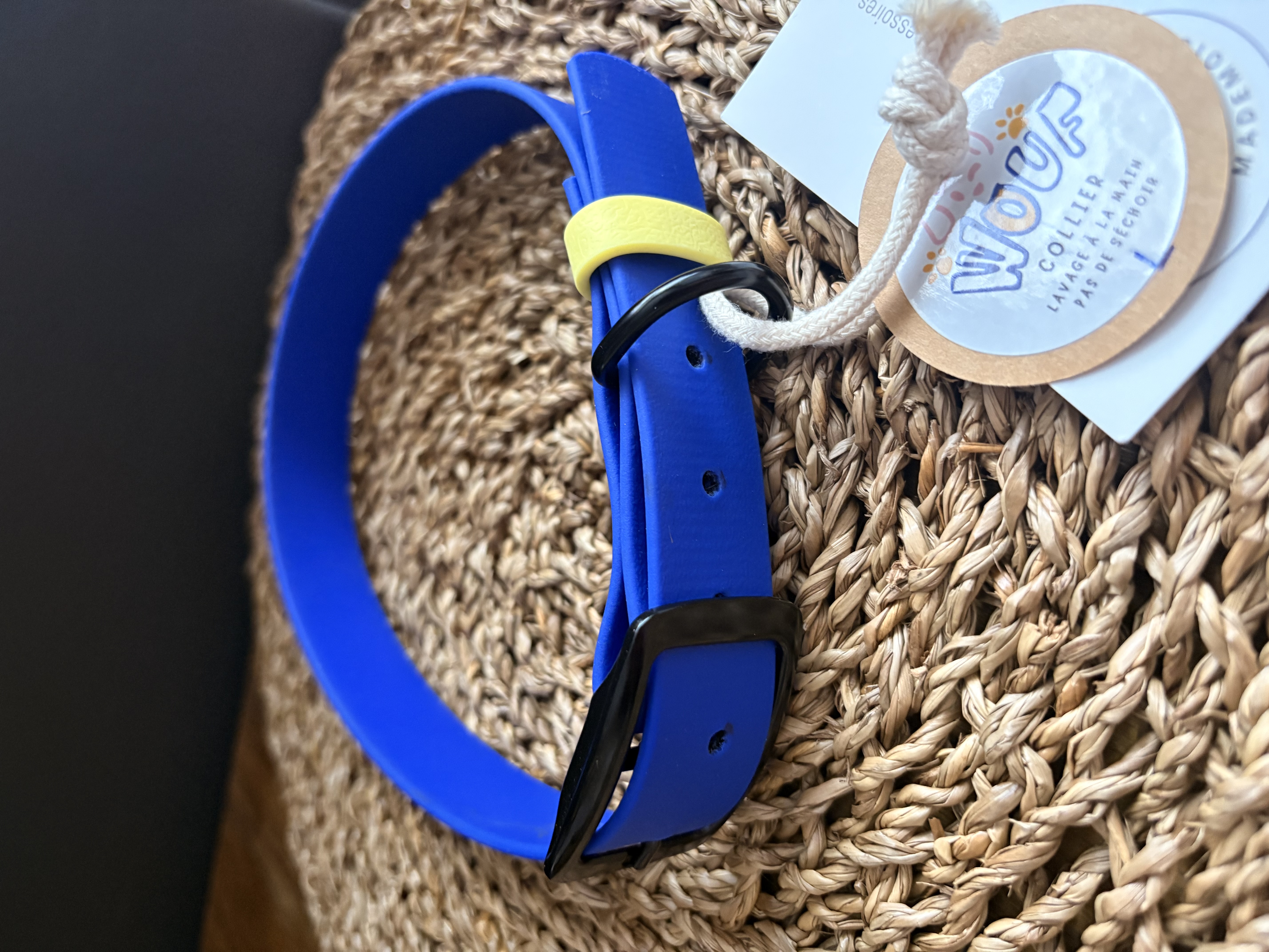 Collier biothane- AZUR