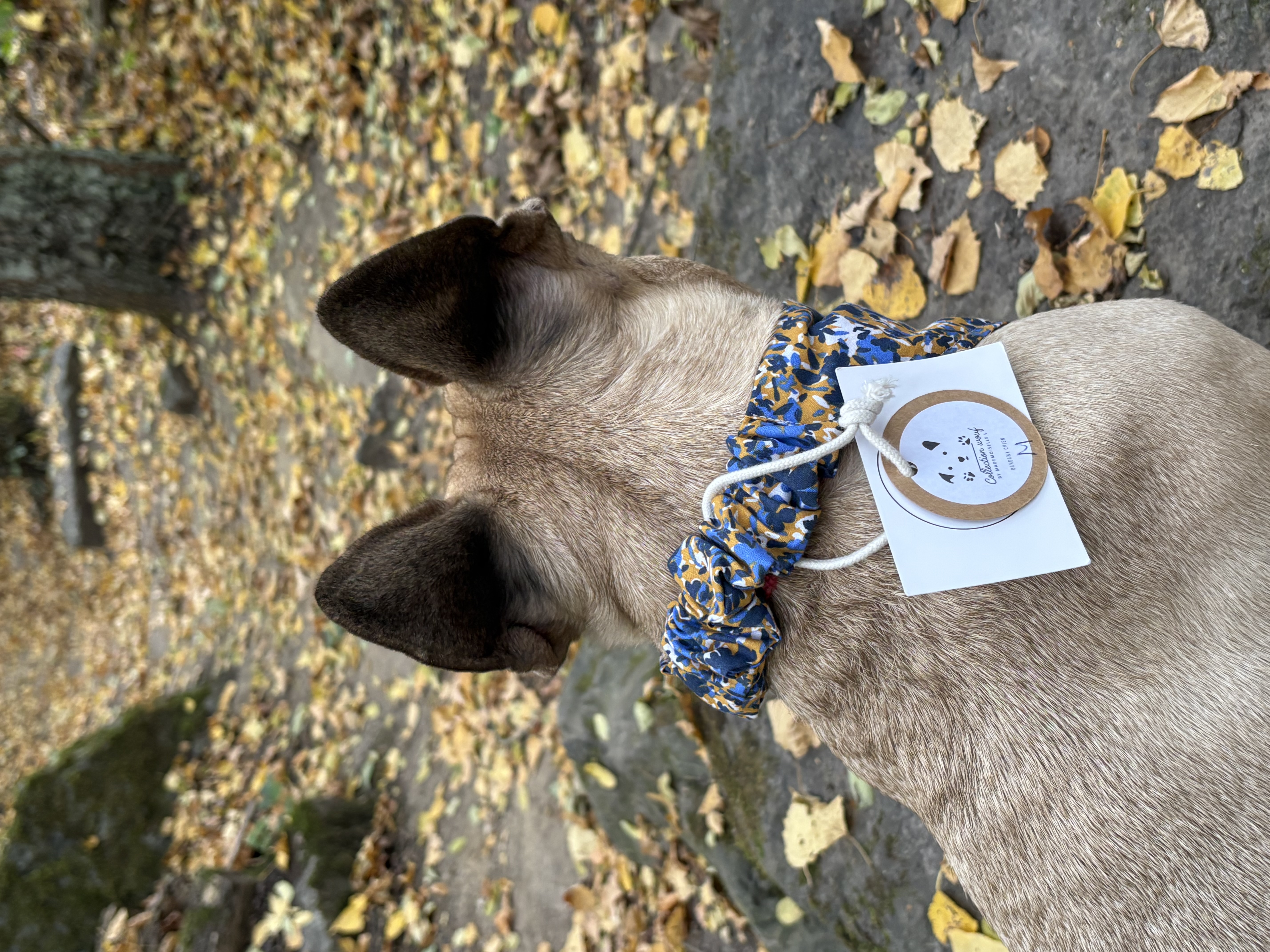 Bandana- BLEU/JAUNE +FLEURS