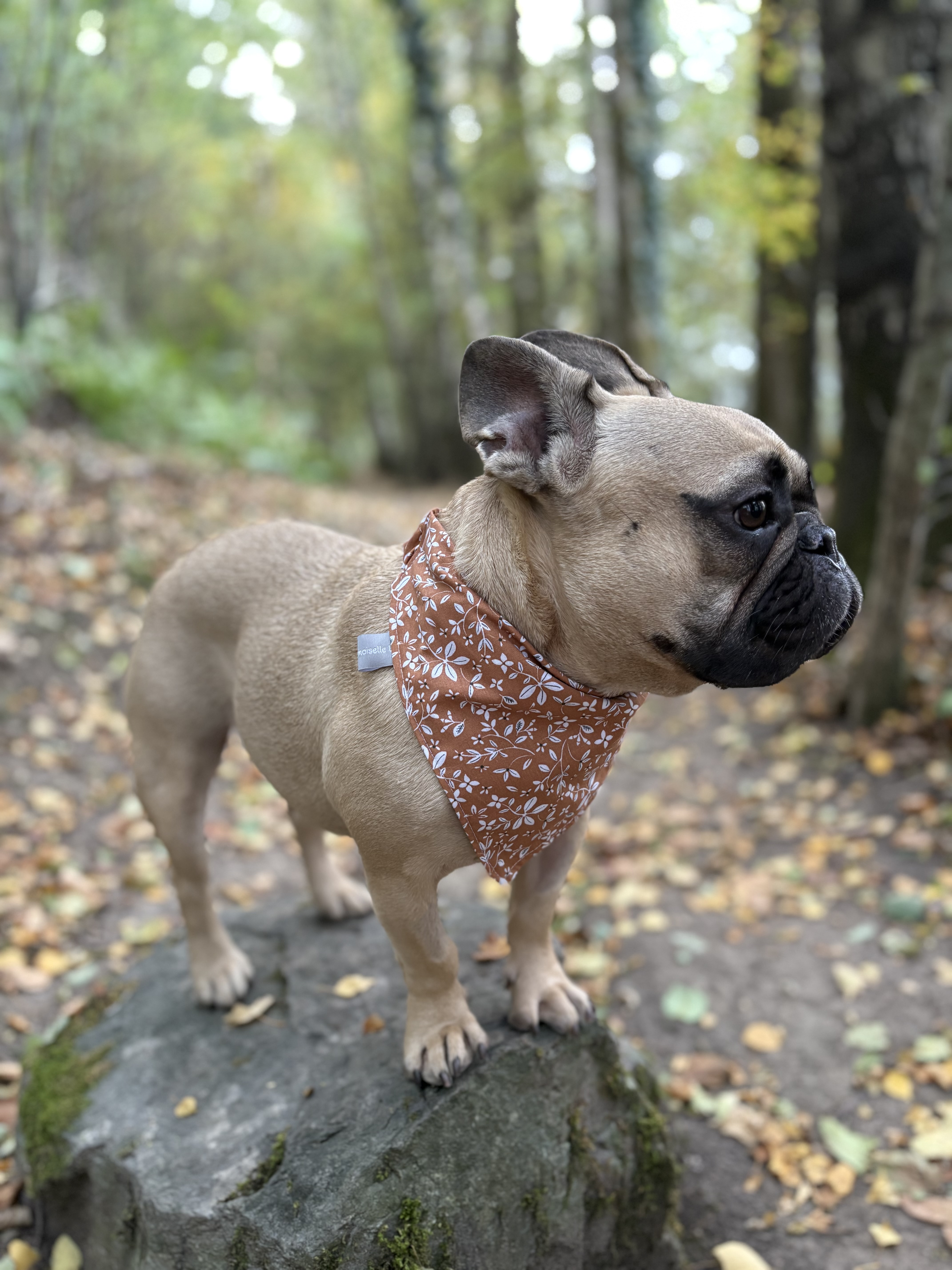 Bandana CAMEL FLEURS