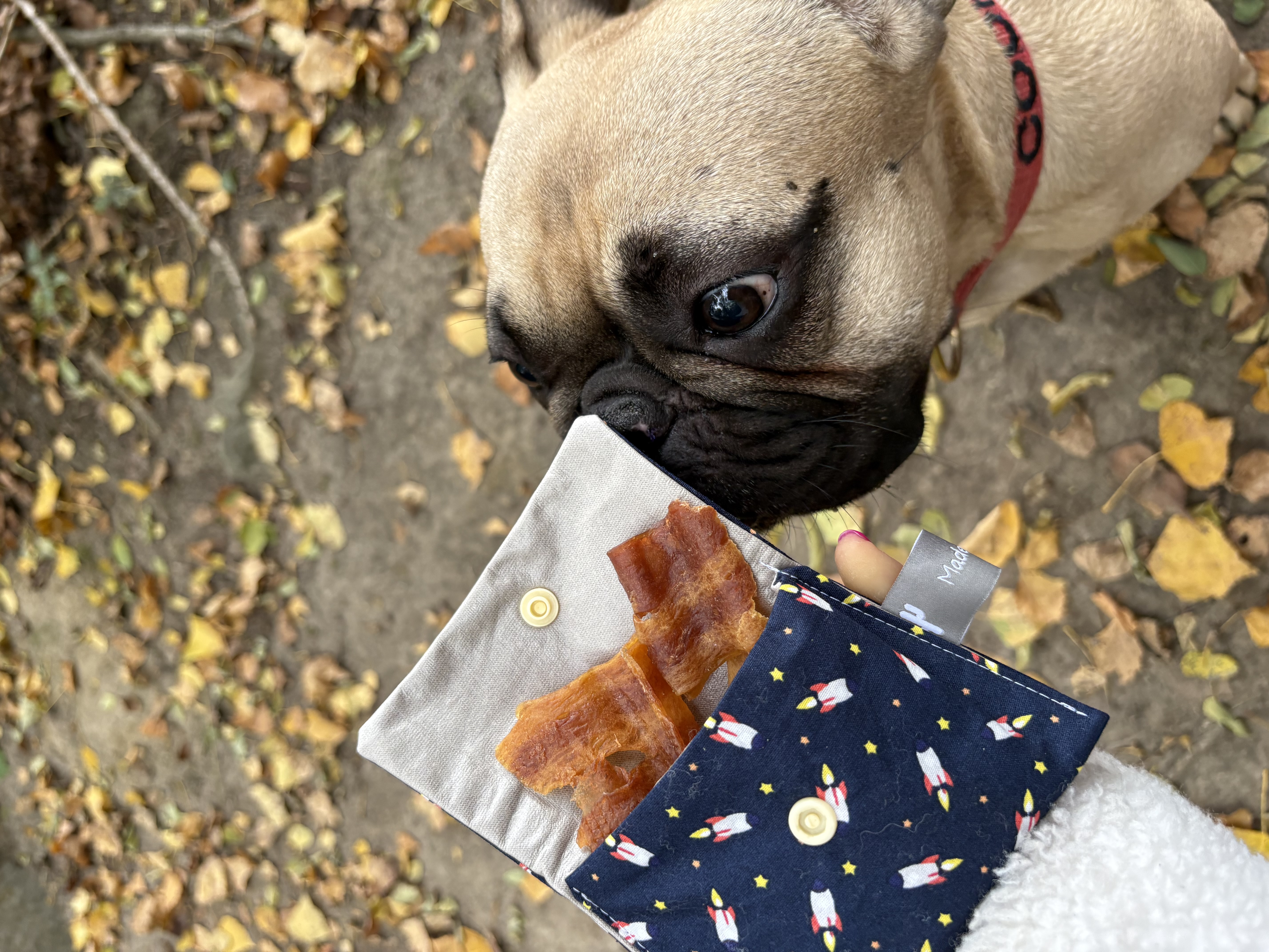 Pochette à biscuits- MAUVE/ROSE +CHIENS