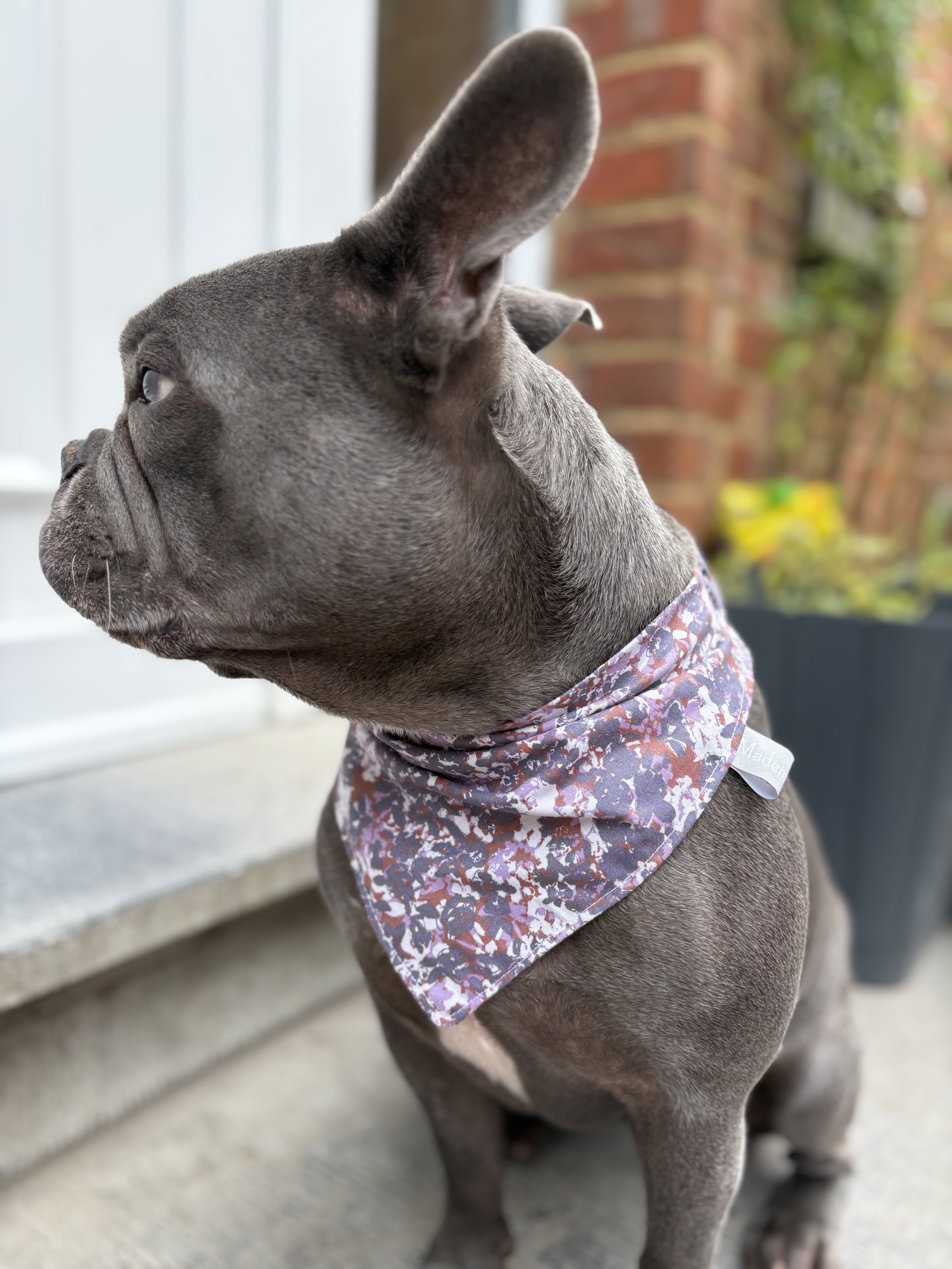 Bandana MILITAIRE MAUVE +FLEURS