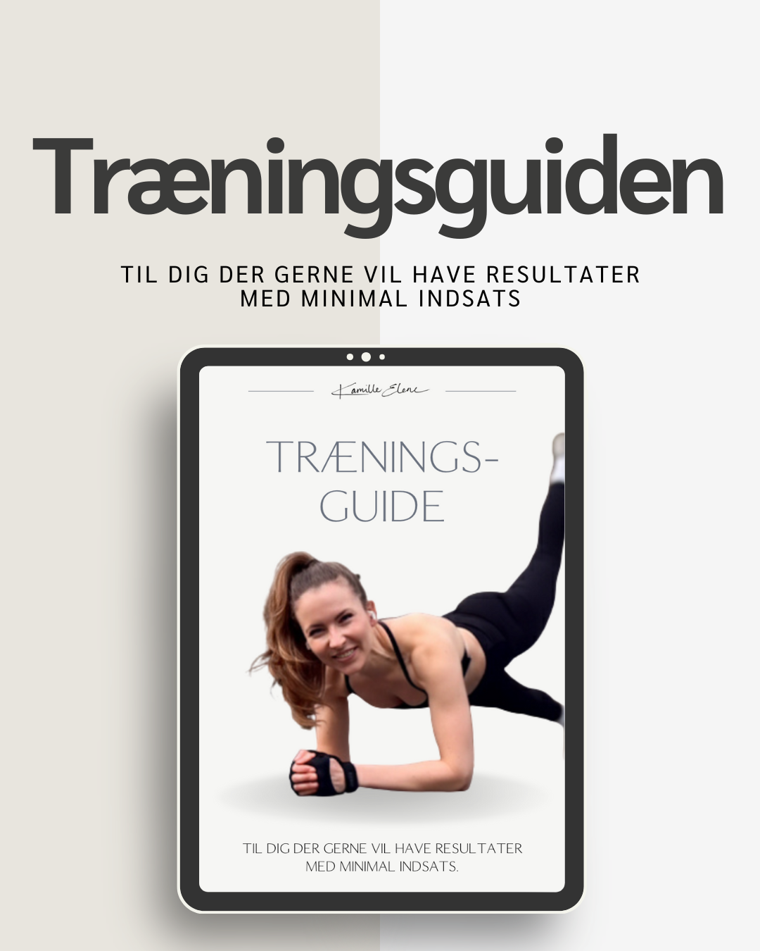 Træningsguide