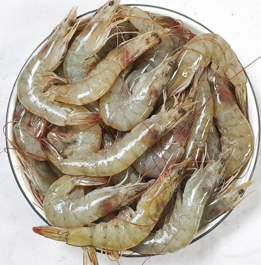 Fresh Raw White Prawns 🦐