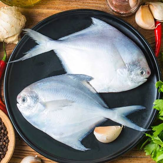 Fresh Pomfret Fish 🐟