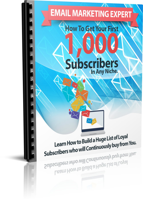 Email Marketing Expert: How to Get Your First 1,000 Subscribers