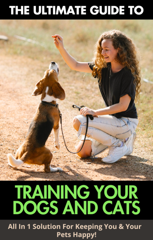 The Ultimate Guide to Training Your Dogs and Cats