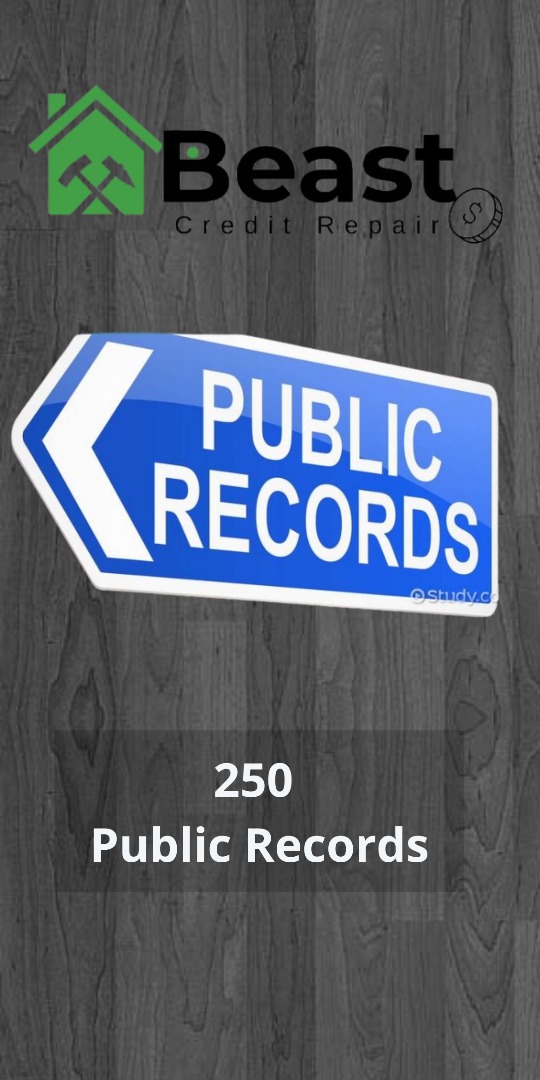 250 Public Records