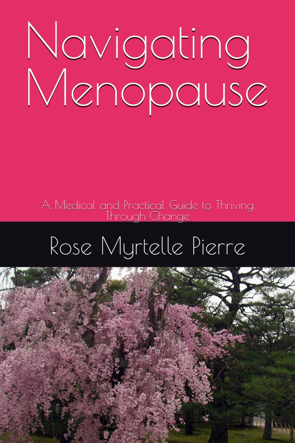 Navigating Menopause