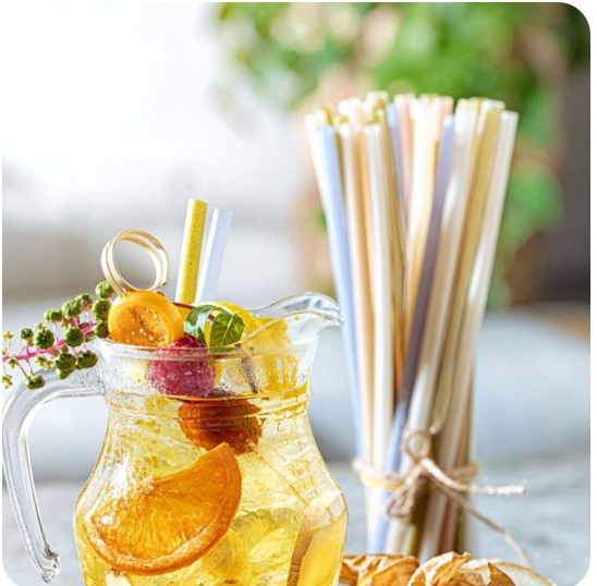Biodegradable Drinking Straws
