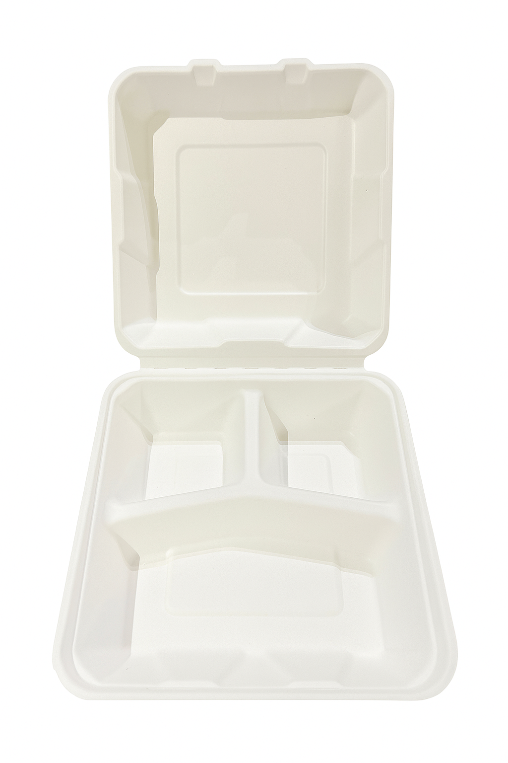 Biodegradable Takeaway Food Containers