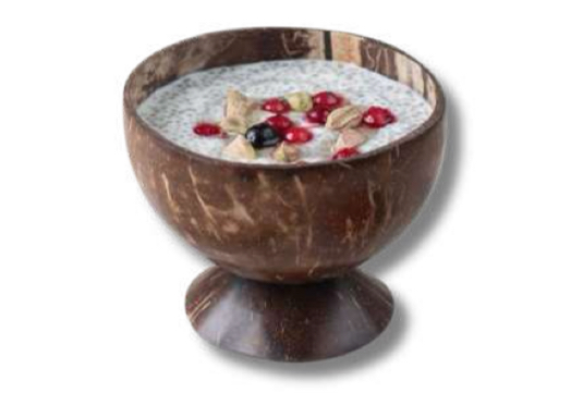 Coconut shell Dessert Bowl Set 