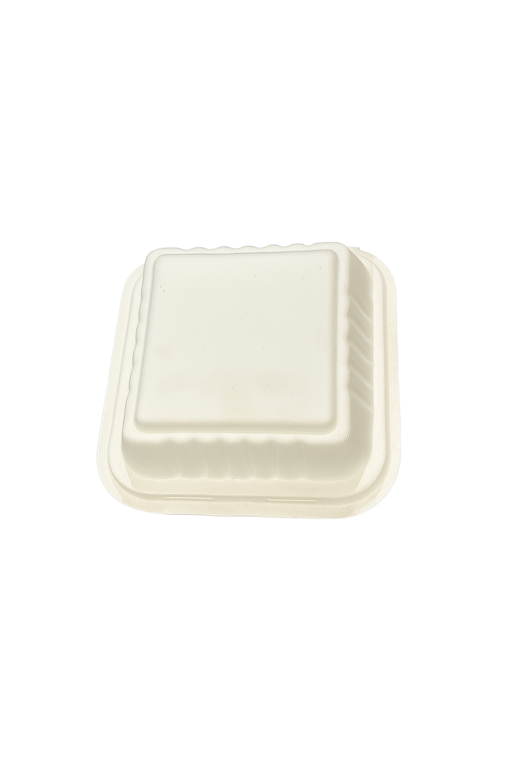 Biodegradable Takeaway Food Containers