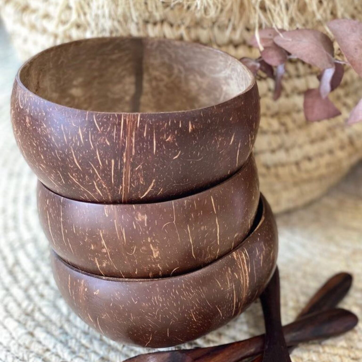 Natural Coconut Bowls