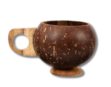 Coconut shell Dessert Bowl Set 