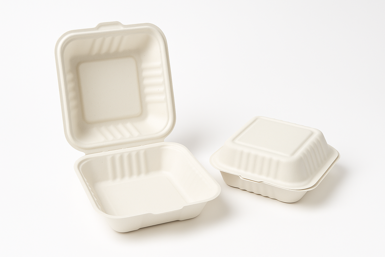 Biodegradable Takeaway Food Containers