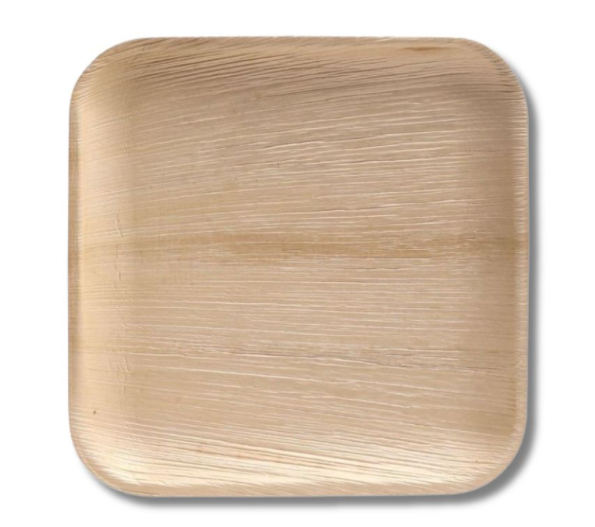  Palm Leaf Plates 