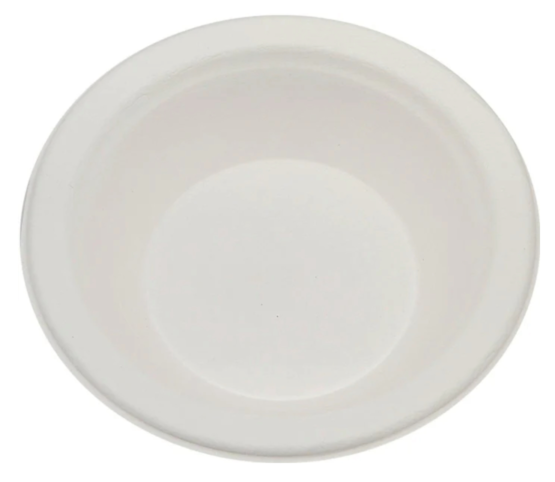 Disposable Sugarcane Pulp Plates 