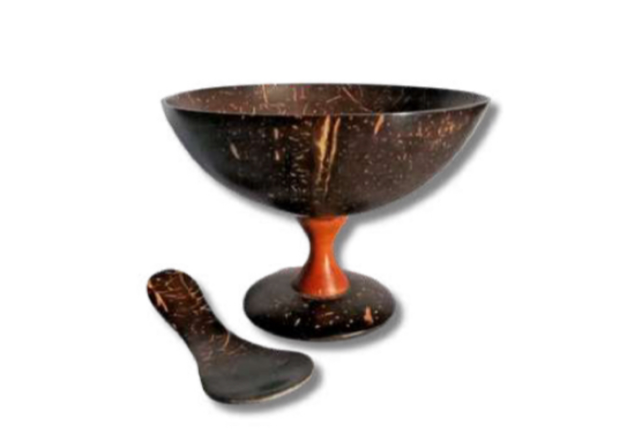 Coconut shell Dessert Bowl Set 