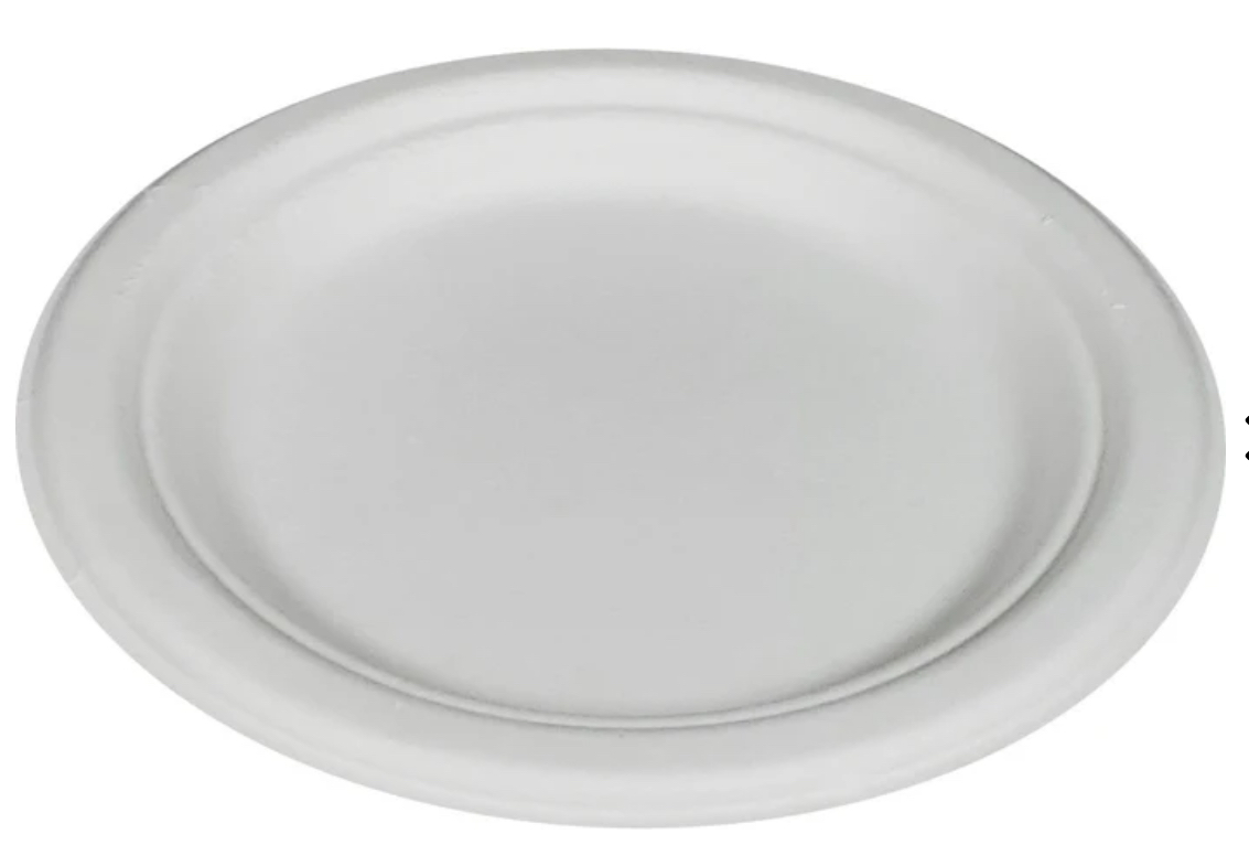 Disposable Sugarcane Pulp Plates 